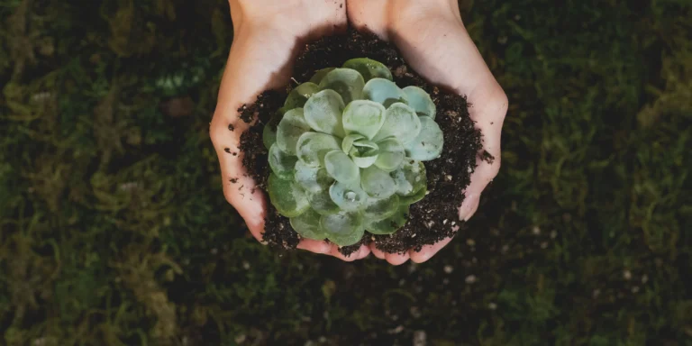 Strategic Growth Lab For Organizations & Companies
